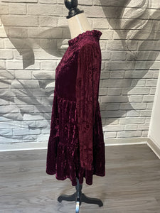 Rosana Velvet Dress