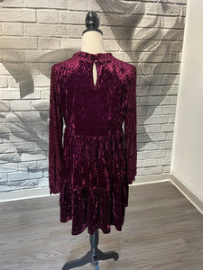 Rosana Velvet Dress